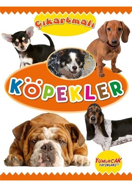 Çıkartmalı Köpekler