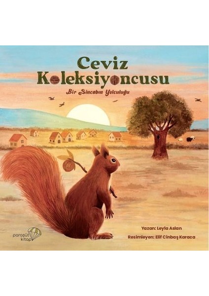 Ceviz Koleksiyoncusu