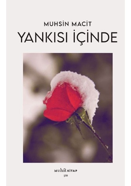Yankısı Içinde