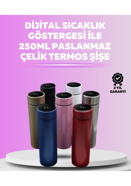 LED Sıcaklık Ölçerli 250 ml Yalıtımlı Termos Şişe