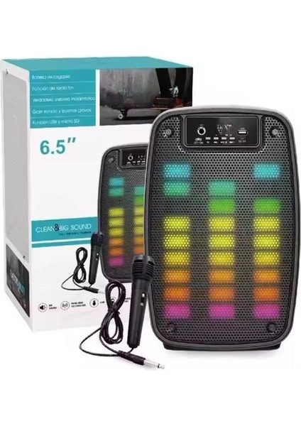 Taşınabilir 6.5 Inç LED Bluetooth Kareoke Hoparlör Rgb Işıklı Radyolu modelleri