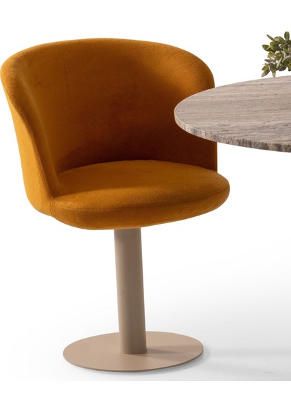 Vesta Yemek Sandalyesi fiyatları