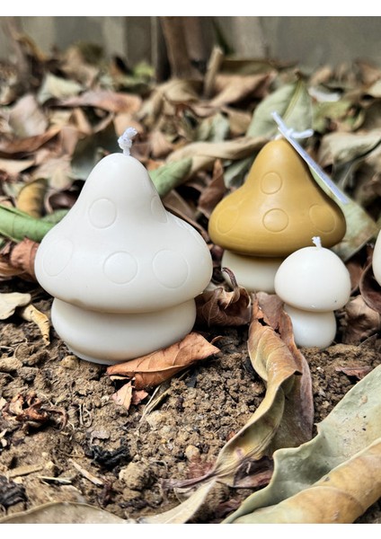 Mushroom Candle