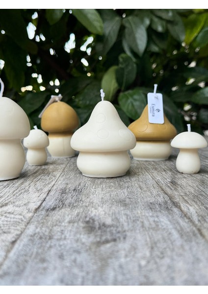 Mushroom Candle fiyatları