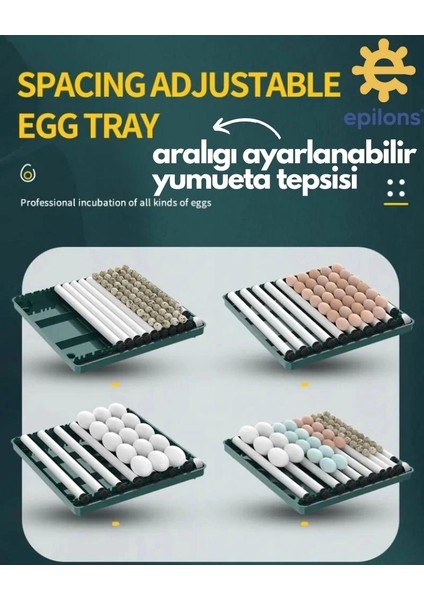 EPO-130MY Kuluçka Makinesi | 130 Yumurtalık, Yedek Motorlu Incubator indirimleri
