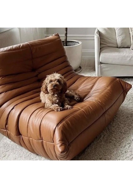 Maseratti 1 Koltuk modelleri