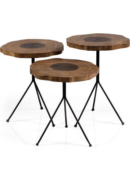 Bien Zigon Sehpa fiyatları