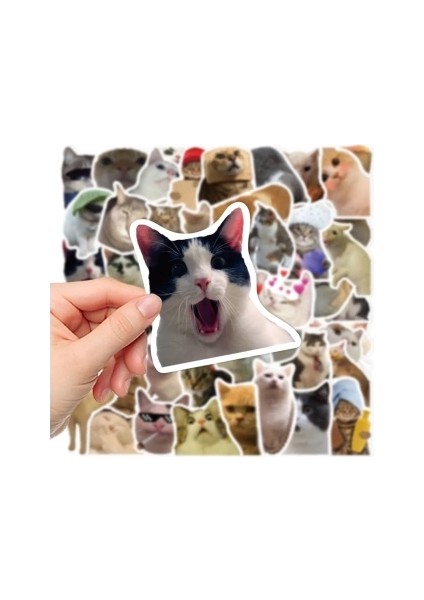 Çılgın Kediler Macbook Notebook Tablet Telefon Ajanda Laptop Defter Sticker Seti