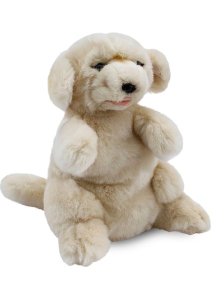Golden Retriever Kukla 30 cm fırsatları