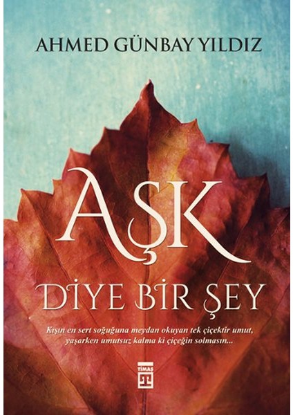 Aşk Diye Bir Şey