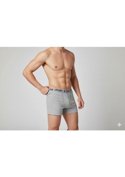 Beşli Erkek Gri Boxer modelleri