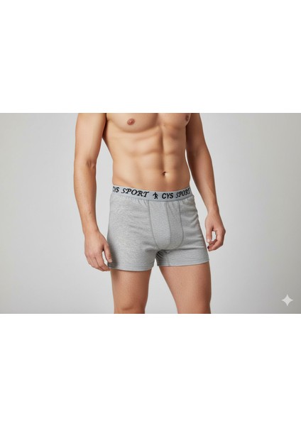 Beşli Erkek Gri Boxer fiyatları