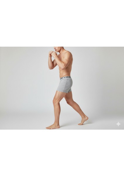 Beşli Erkek Gri Boxer