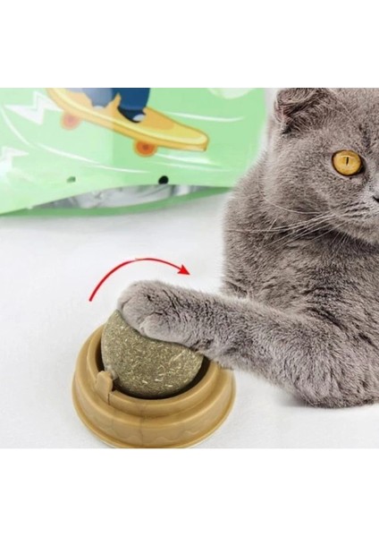 Kedi Nanesi Oyun Topu - Lisinya fırsatları