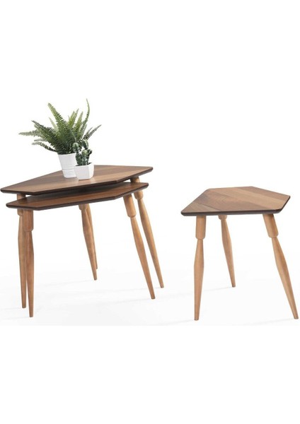 Zen Zigon Sehpa modelleri