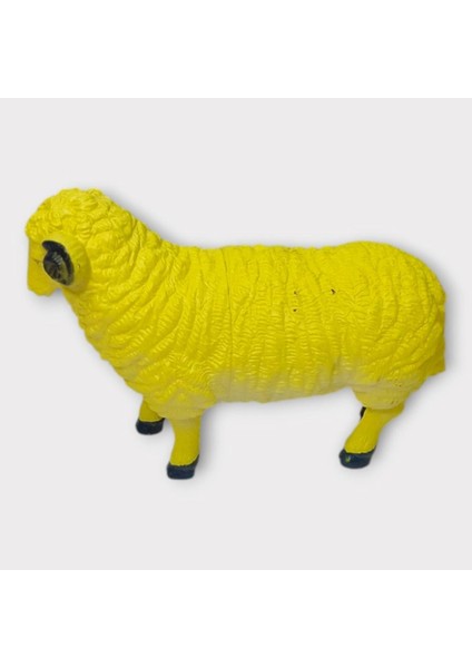 Çiftlik Hayvanları - Koyun (Lisinya) fiyatları