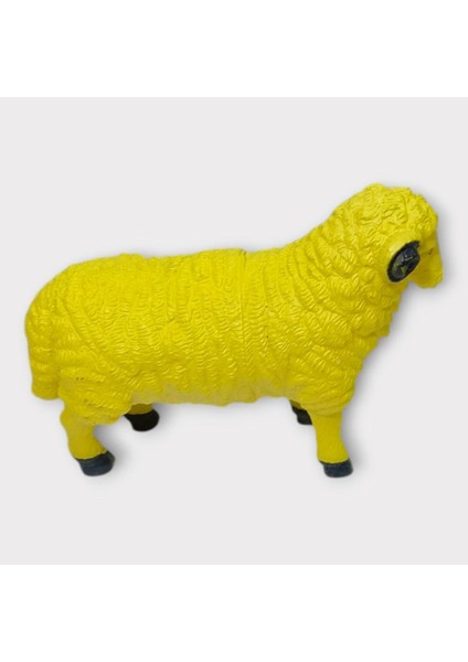 Çiftlik Hayvanları - Koyun (Lisinya) modelleri