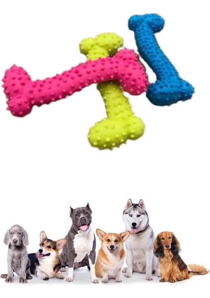 Tiny Kemik Oyuncağı Tırtıklı Yüzey Küçük Kemik Plastik Köpek Oyuncağı (4989) indirimleri