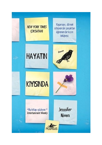 Hayatın Kıyısında (Ciltli)