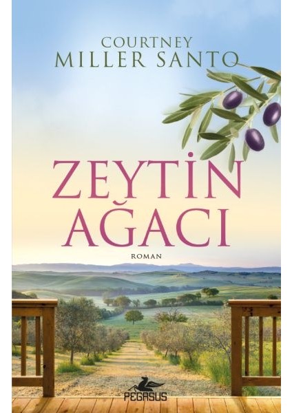 Zeytin Ağacı