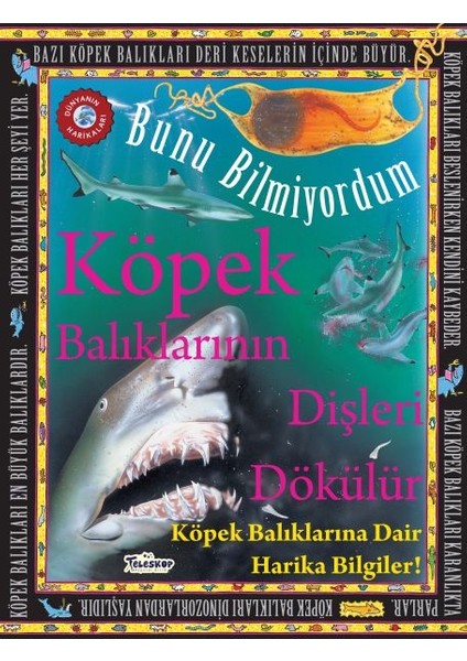 Köpek Balıklarının Dişleri Dökülür - Bunu Bilmiyordum - Köpek Balıklarına Dair Harika Bilgiler!