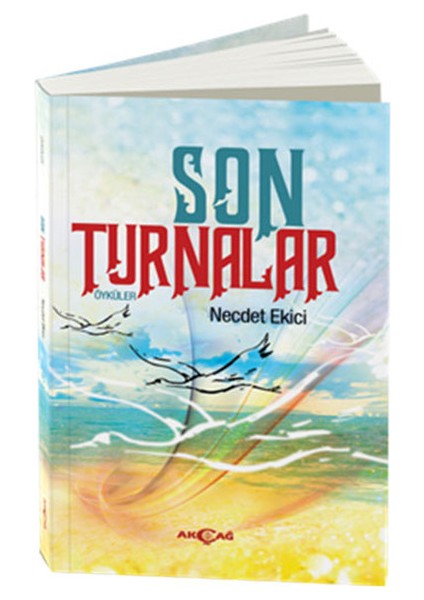 Son Turnalar