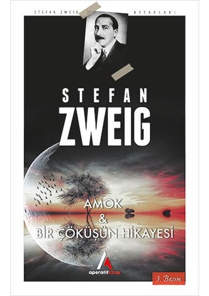 Amok ve Bir Çöküşün Hikayesi