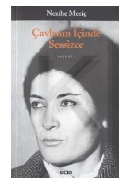 Çavlanın Içinde Sessizce