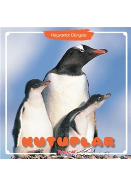 Kutuplar - Hayvanlar Dünyası