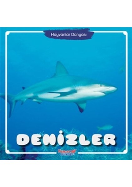 Denizler - Hayvanlar Dünyası