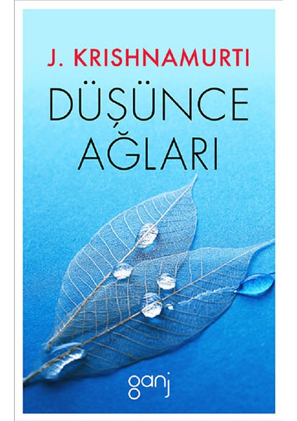 Düşünce Ağları