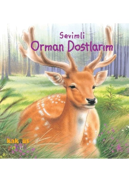Sevimli Orman Dostlarım
