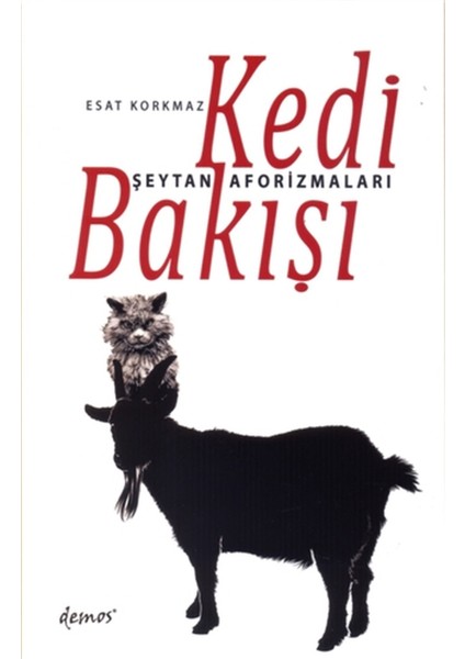 Kedi Bakışı