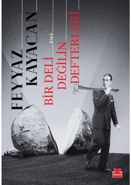 Bir Deli Değilin Defterleri