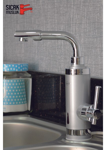 Elektrikli Ani Su Isıtıcı Gümüş Renkli, Hızlı ve Verimli Sıcak Su Sağlar fiyatları