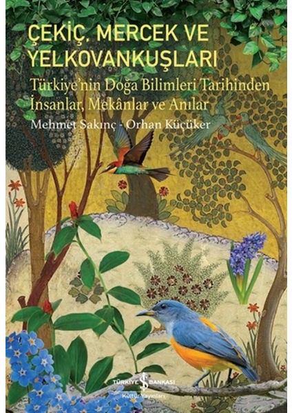 Çekiç, Mercek ve Yelkovankuşları