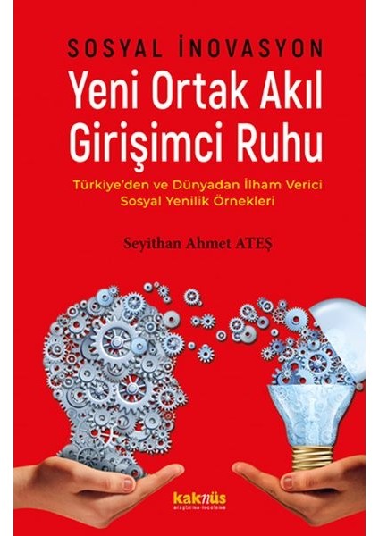 Sosyal Inovasyon Yeni Ortak Akıl Girişimci Ruhu