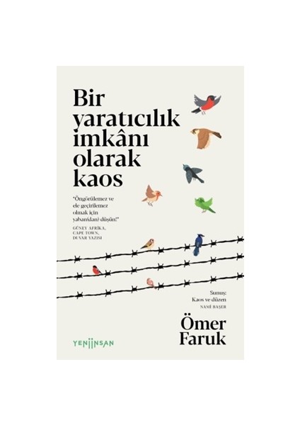 Bir Yaratıcılık Imkânı Olarak Kaos