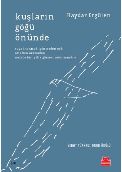 Kuşların Göğü Önünde