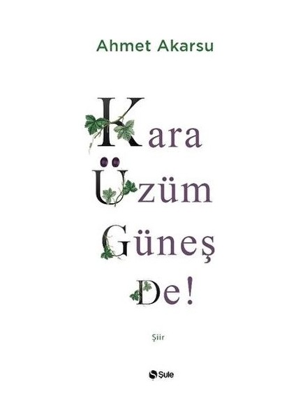 Kara Üzüm Güneş De