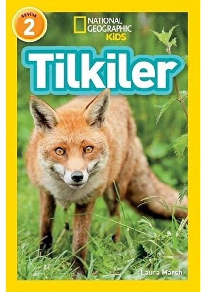Tilkiler - Seviye 2