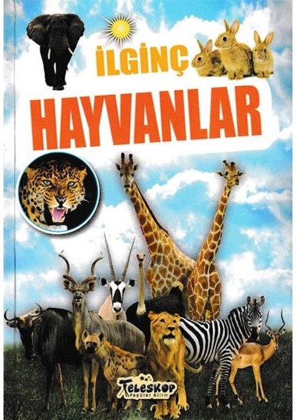 Ilginç Hayvanlar - Ilginç Bilgiler Serisi