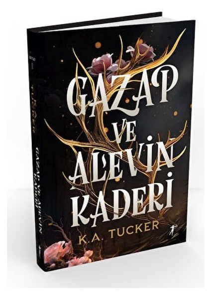 Gazap ve Alevin Kaderi (Ciltli)