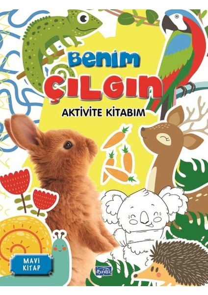 Benim Çılgın Aktivite Kitabım Mavi Kitap