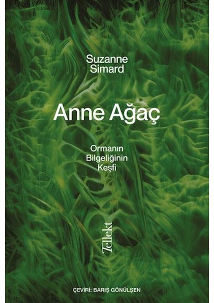 Anne Ağaç