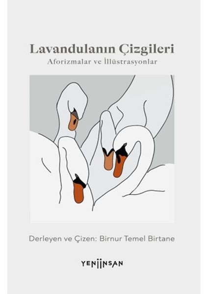 Lavandulanın Çizgileri