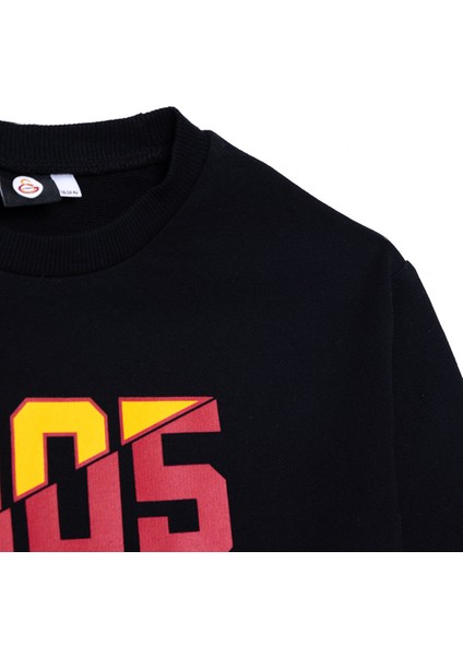 Unisex Sweatshirt Iki Iplik Bisiklet Yaka Uzun Kol modelleri