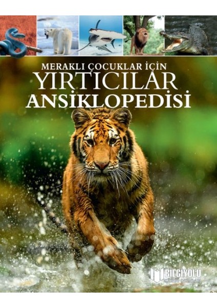 Meraklı Çocuklar Için Yırtıcılar Ansiklopedisi