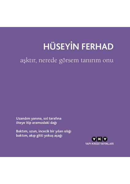 Aşktır, Nerede Görsem Tanırım Onu