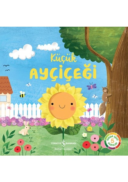 Küçük Ayçiçeği